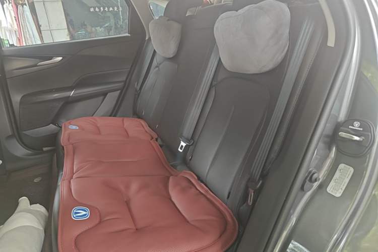 Used CHANGAN Eado DD 2023 Blue Whale NE 1.5T GDI DCT Luxury Edition Left Rear Seat