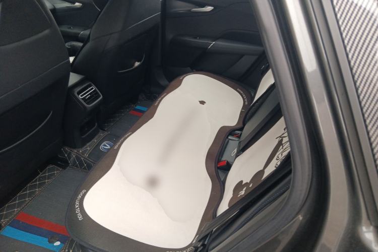 Used CHANGAN Eado DD 2023 Blue Whale NE 1.5T GDI DCT Luxury Edition Left Rear Seat