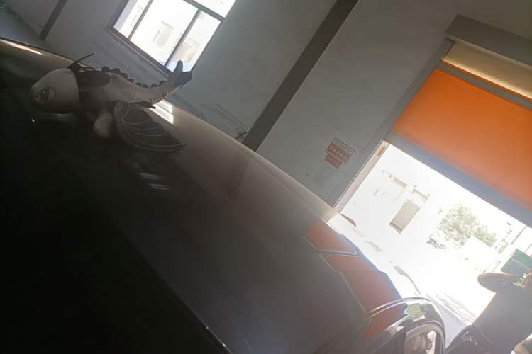 Used CHANGAN Eado DD 2023 Blue Whale NE 1.5T GDI DCT Luxury Edition Roof
