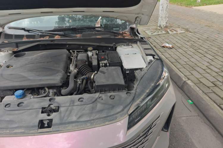Used CHANGAN Eado DD 2023 Blue Whale NE 1.5T GDI DCT Prestige Model Engine Bay Left