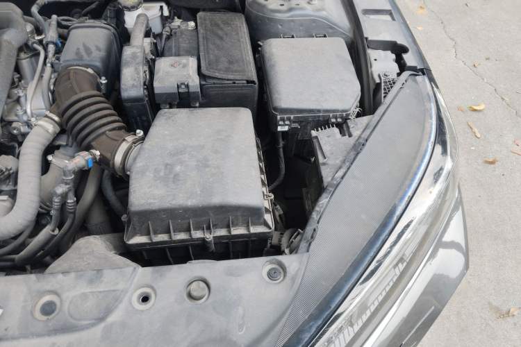 Used CHANGAN Eado DD 2023 Blue Whale NE 1.5T GDI DCT Navigation Model Engine Bay Left