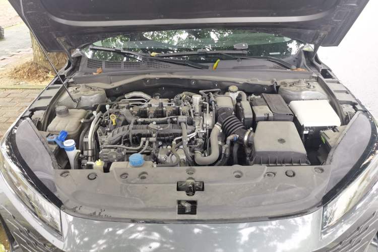 Used CHANGAN Eado DD 2023 Blue Whale NE 1.5T GDI DCT Enjoy Edition Engine Bay