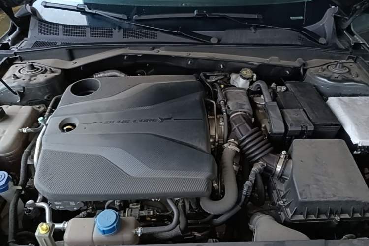 Used CHANGAN Eado DD 2023 Blue Whale NE 1.5T GDI DCT Navigation Model Engine Bay