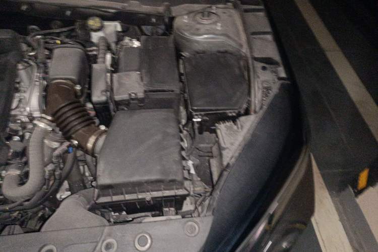 Used CHANGAN Eado DD 2023 Blue Whale NE 1.5T GDI DCT Navigation Model Engine Bay Left