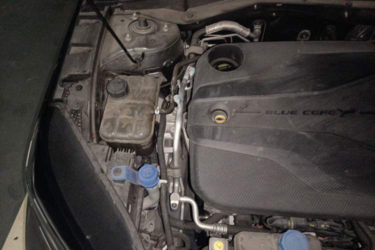 Used CHANGAN Eado DD 2023 Blue Whale NE 1.5T GDI DCT Navigation Model Engine Bay Right