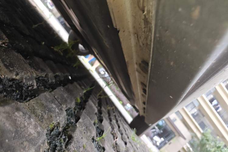 Used CHANGAN Eado DD 2023 Blue Whale NE 1.5T GDI DCT Navigation Model Chassis Front Left