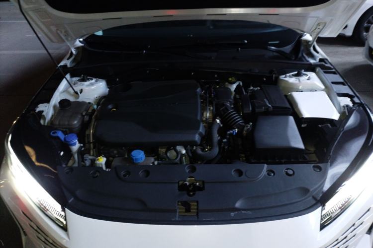 Used CHANGAN Eado DD 2023 Blue Whale NE 1.5T GDI DCT Luxury Edition Engine Bay