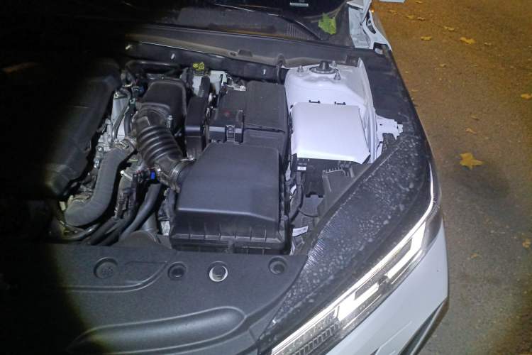 Used CHANGAN Eado DD 2023 Blue Whale NE 1.5T GDI DCT Luxury Edition Engine Bay Left