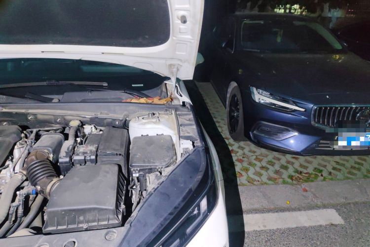 Used CHANGAN Eado DD 2023 Blue Whale NE 1.5T GDI DCT Luxury Edition Engine Bay Left