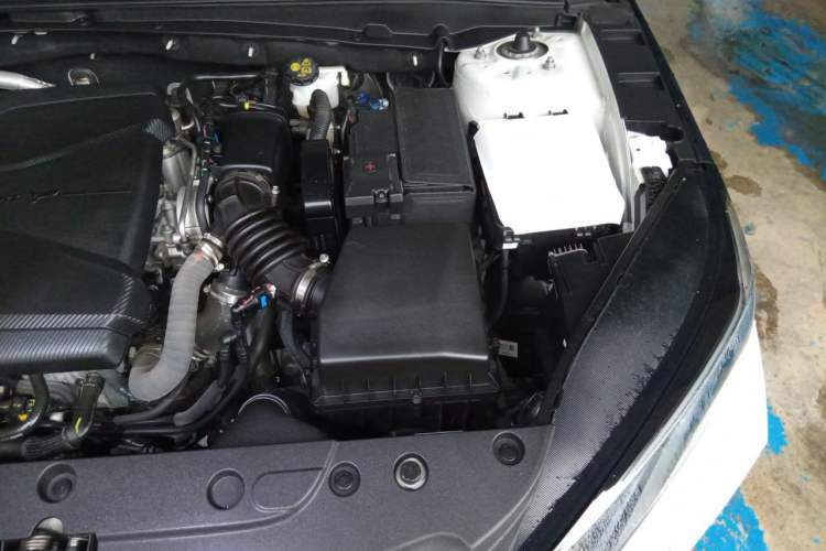 Used CHANGAN Eado DD 2023 Blue Whale NE 1.5T GDI DCT Navigation Model Engine Bay Left