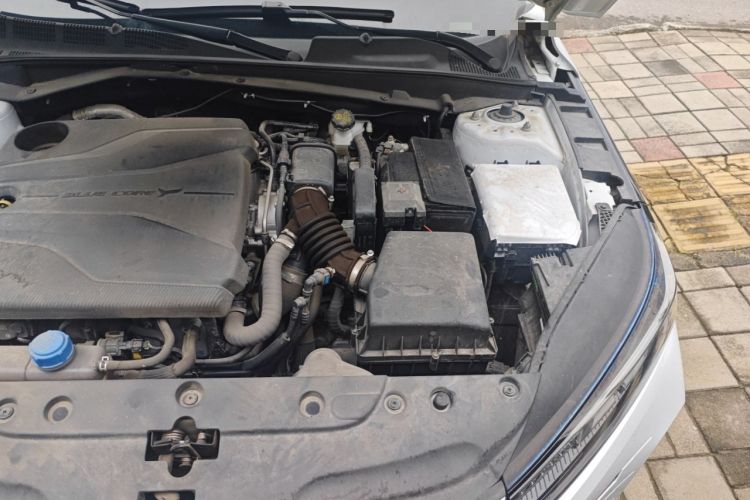 Used CHANGAN Eado DD 2023 Blue Whale NE 1.5T GDI DCT Luxury Edition Engine Bay Left