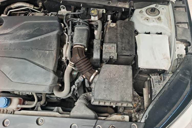 Used CHANGAN Eado DD 2023 Blue Whale NE 1.5T GDI DCT Enjoy Edition Engine Bay Left