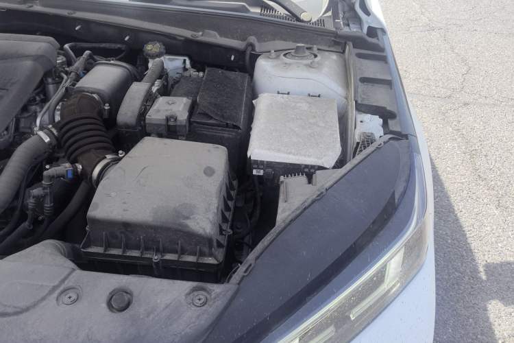 Used CHANGAN Eado DD 2023 Blue Whale NE 1.5T GDI DCT Navigation Model Engine Bay Left