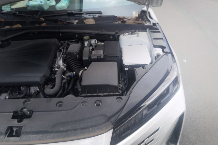 Used CHANGAN Eado DD 2023 Blue Whale NE 1.5T GDI DCT Luxury Edition Engine Bay Left