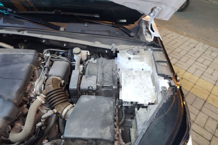 Used CHANGAN Eado DD 2023 Blue Whale NE 1.5T GDI DCT Luxury Edition Engine Bay Left
