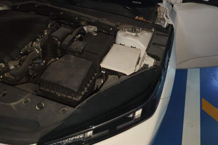 Used CHANGAN Eado DD 2023 Blue Whale NE 1.5T GDI DCT Luxury Edition Engine Bay Left