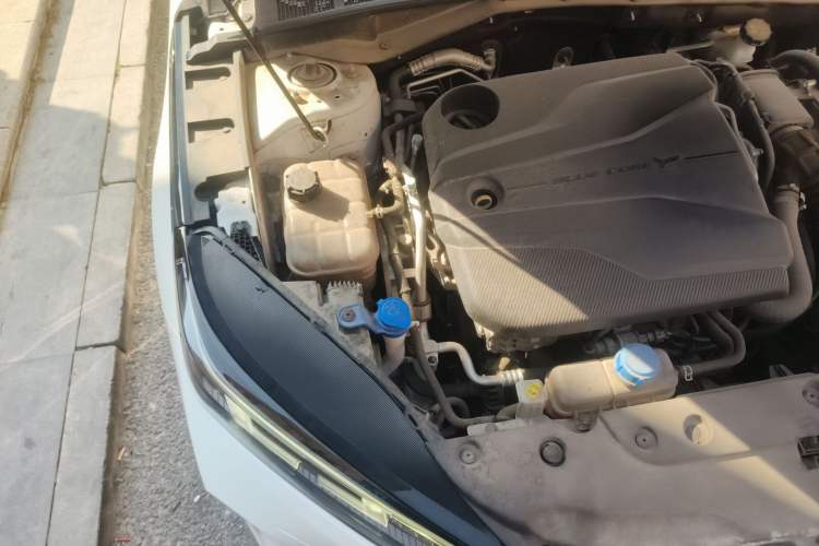 Used CHANGAN Eado DD 2023 Blue Whale NE 1.5T GDI DCT Luxury Edition Engine Bay Right