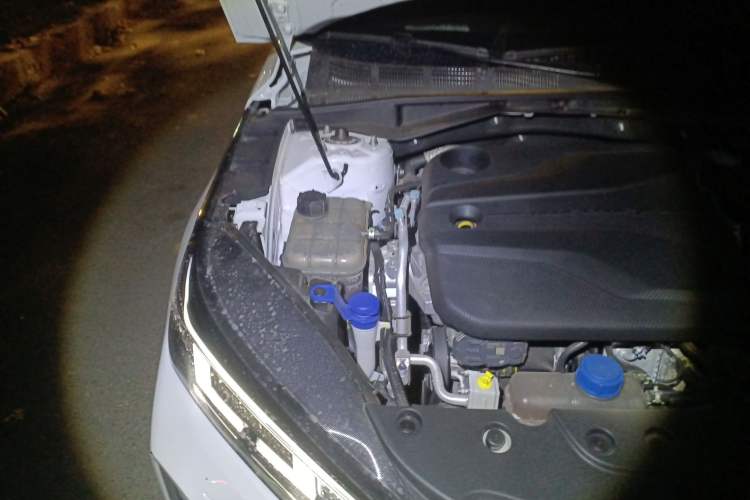 Used CHANGAN Eado DD 2023 Blue Whale NE 1.5T GDI DCT Luxury Edition Engine Bay Right