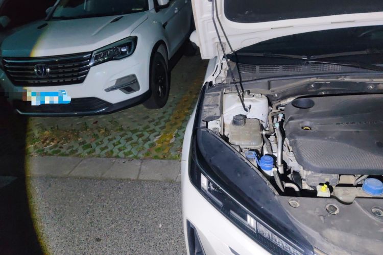 Used CHANGAN Eado DD 2023 Blue Whale NE 1.5T GDI DCT Luxury Edition Engine Bay Right