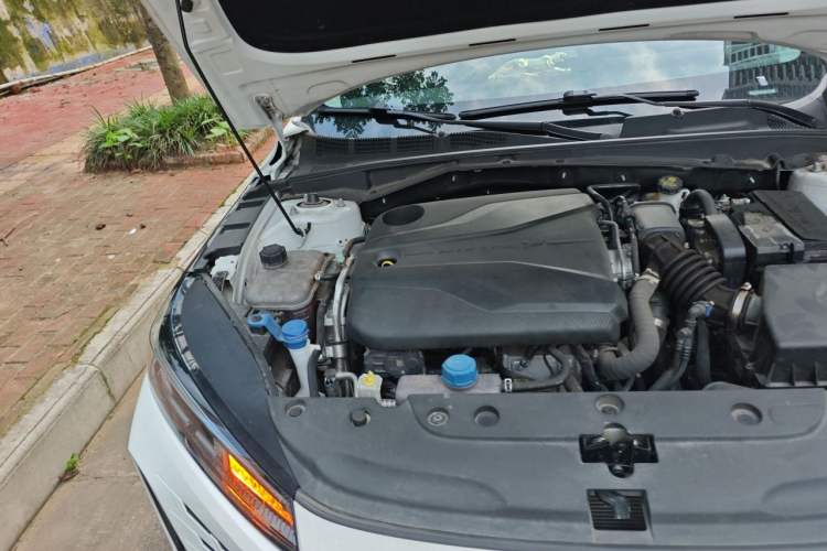 Used CHANGAN Eado DD 2023 Blue Whale NE 1.5T GDI DCT Navigation Model Engine Bay Right