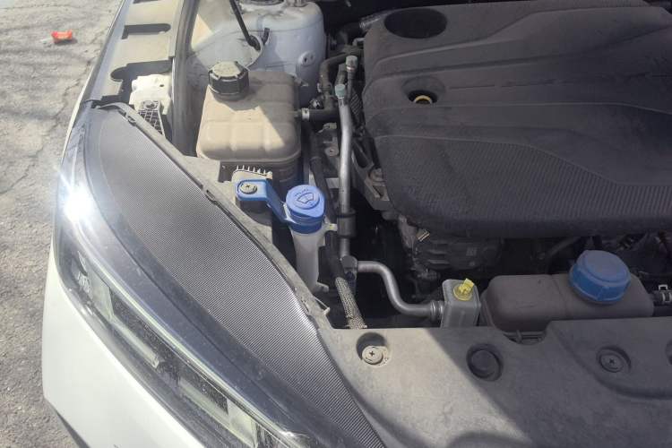Used CHANGAN Eado DD 2023 Blue Whale NE 1.5T GDI DCT Navigation Model Engine Bay Right