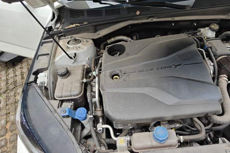 Used CHANGAN Eado DD 2023 Blue Whale NE 1.5T GDI DCT Navigation Model Engine Bay Right