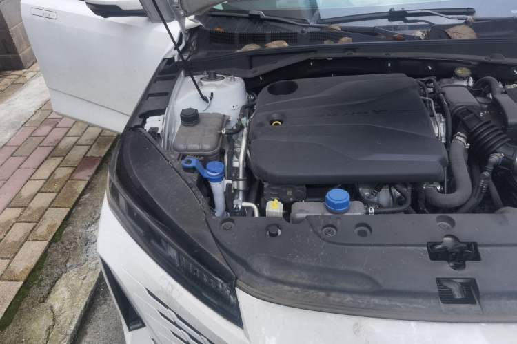 Used CHANGAN Eado DD 2023 Blue Whale NE 1.5T GDI DCT Luxury Edition Engine Bay Right