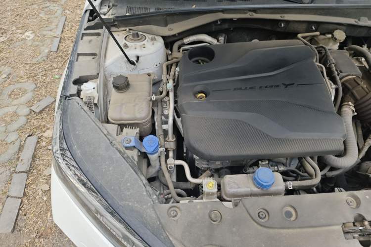Used CHANGAN Eado DD 2023 Blue Whale NE 1.5T GDI DCT Luxury Edition Engine Bay Right