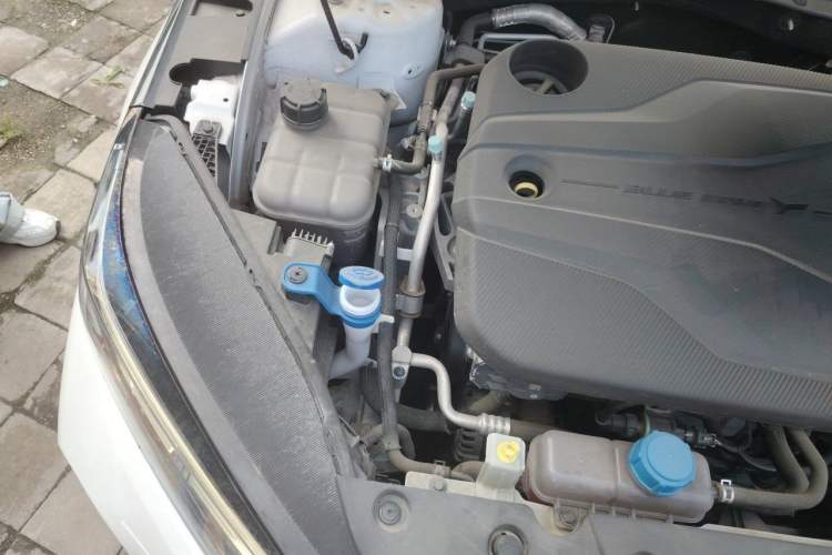 Used CHANGAN Eado DD 2023 Blue Whale NE 1.5T GDI DCT Prestige Model Engine Bay Right