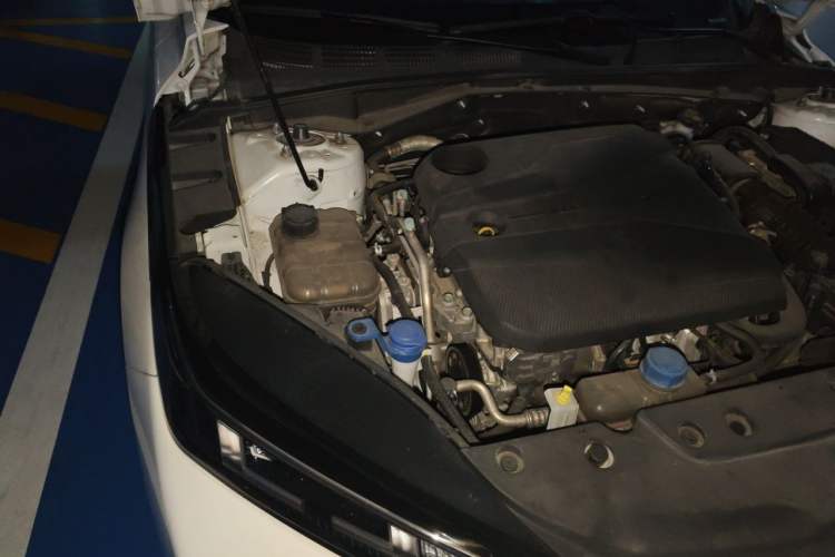 Used CHANGAN Eado DD 2023 Blue Whale NE 1.5T GDI DCT Luxury Edition Engine Bay Right