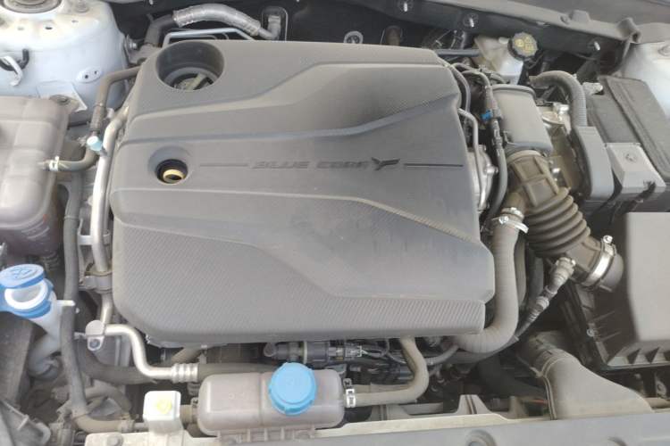 Used CHANGAN Eado DD 2023 Blue Whale NE 1.5T GDI DCT Prestige Model Engine Bay