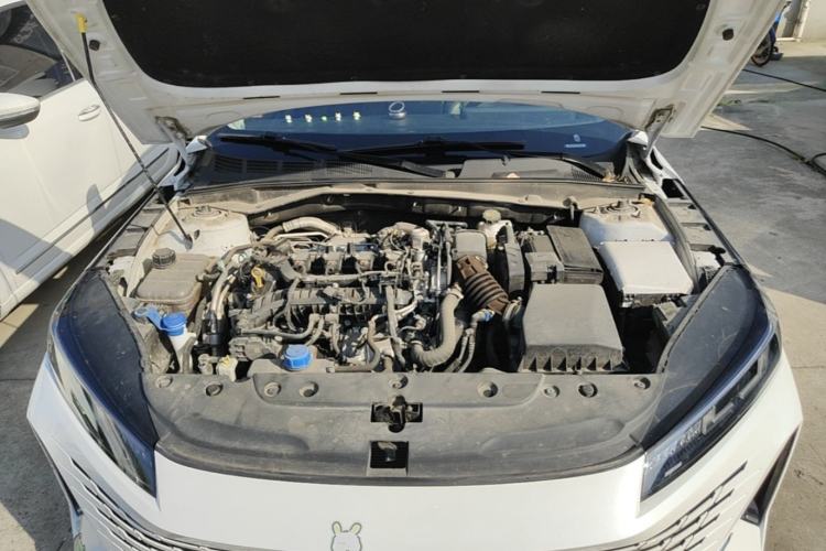 Used CHANGAN Eado DD 2023 Blue Whale NE 1.5T GDI DCT Enjoy Edition Engine Bay