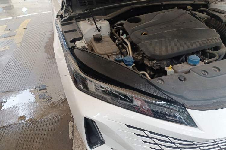 Used CHANGAN Eado DD 2023 Blue Whale NE 1.5T GDI DCT Luxury Edition Exterior 6
