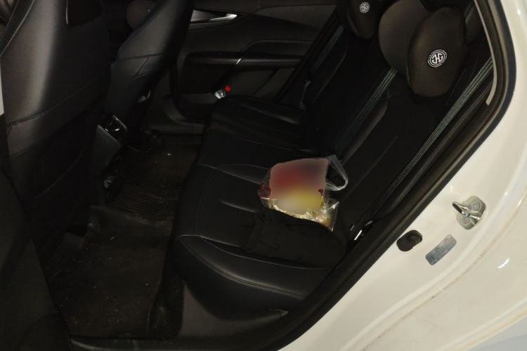 Used CHANGAN Eado DD 2023 Blue Whale NE 1.5T GDI DCT Luxury Edition Left Rear Seat