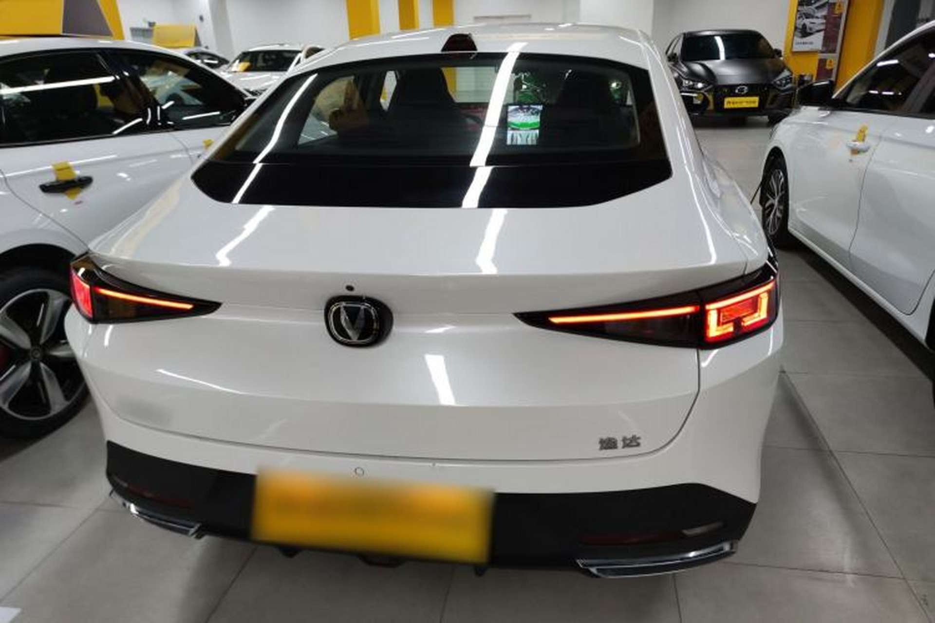 Used CHANGAN Eado DD 2023 Blue Whale NE 1.5T GDI DCT Luxury Edition Rear