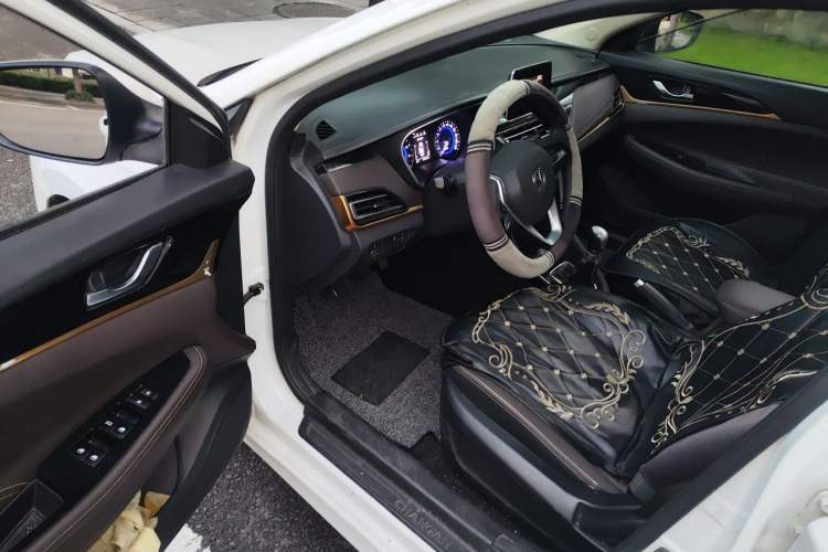 Used CHANGAN Eado DT 2018 1.6L Manual Enjoyment Model Driver Seat