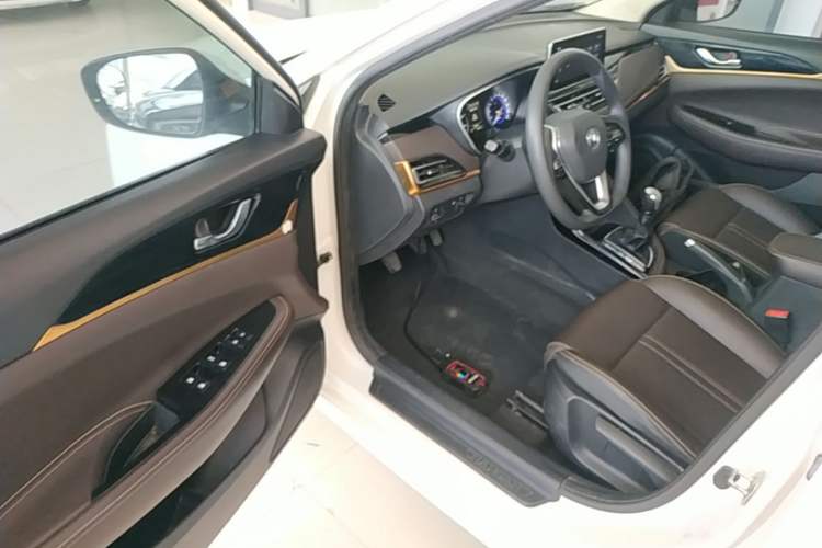 Used CHANGAN Eado DT 2018 1.6L Manual Smart Enjoyment Model Driver Seat