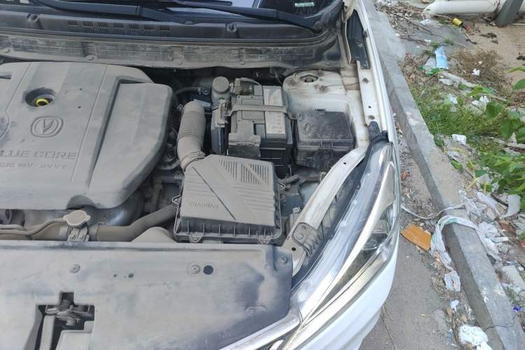 Used CHANGAN Eado DT 2018 1.6L Manual Smart Enjoyment Model Engine Bay Left