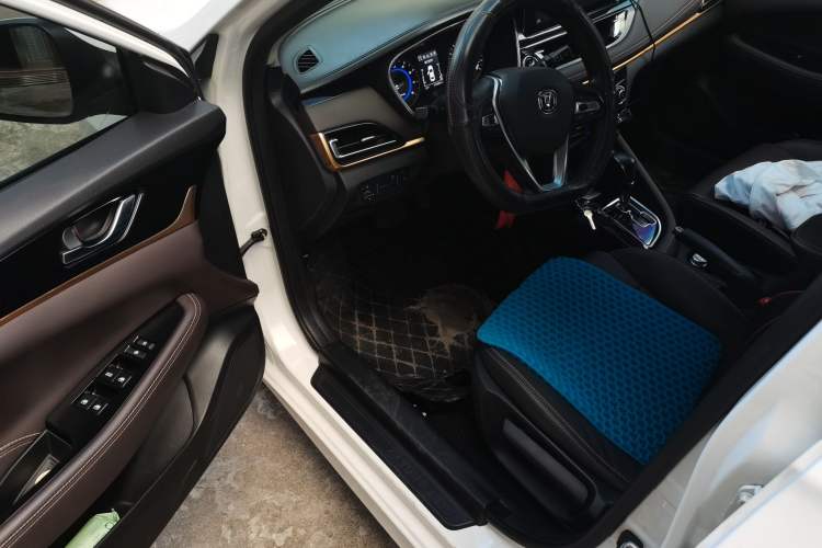 Used CHANGAN Eado DT 2018 1.6L Automatic Smart Enjoyment Model Interior 3
