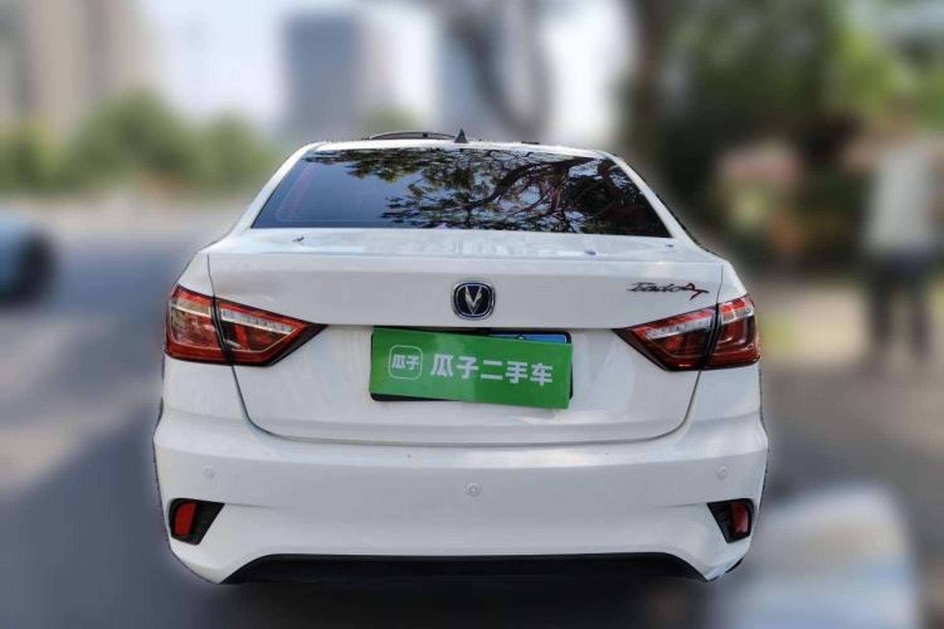 Used CHANGAN Eado DT 2018 1.6L Manual Smart Enjoyment Model Rear