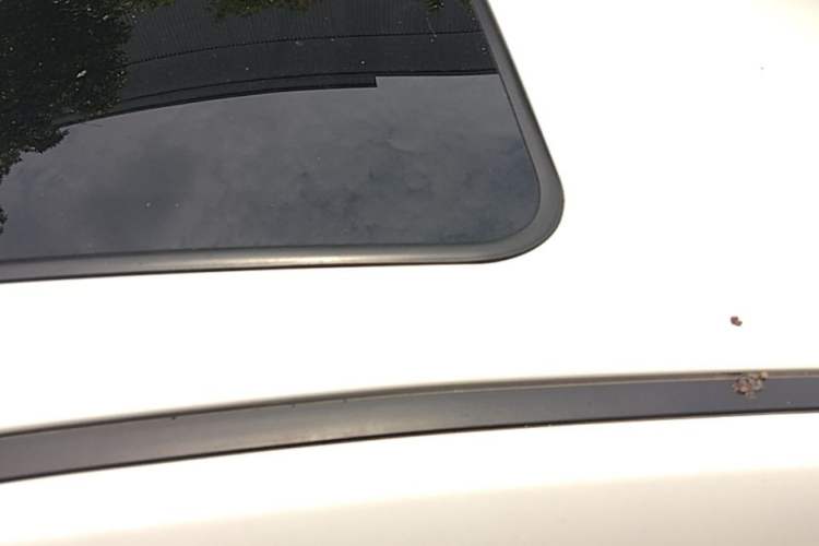 Used CHANGAN Eado DT 2018 1.6L Automatic Enjoyment Model Roof