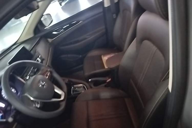 Used CHANGAN Eado DT 2018 1.6L Automatic Smart Enjoyment Model Left Front Seat