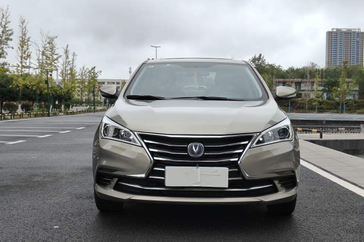 Used CHANGAN Eado DT 2019 1.6L Automatic Enjoyment Model China VI Standard Exterior 1