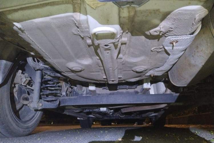 Used CHANGAN Eado DT 2019 1.6L Automatic Enjoyment Model China VI Standard Chassis Rear