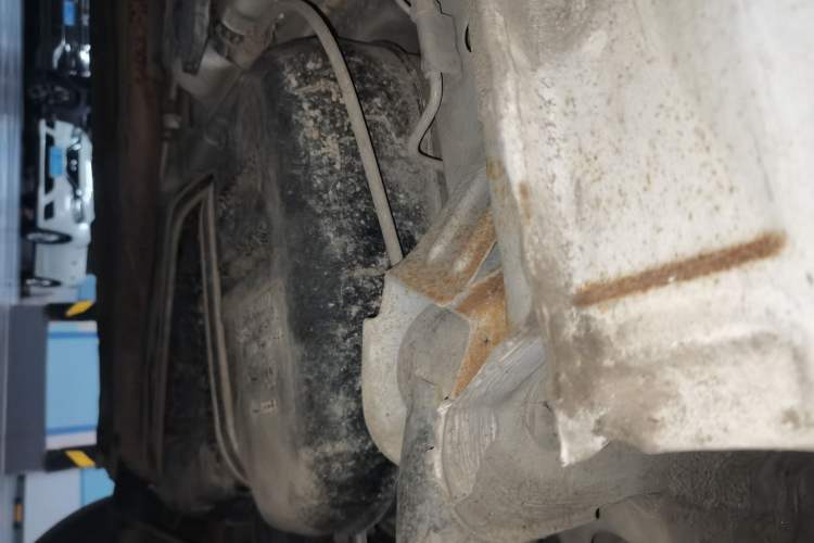 Used CHANGAN Eado DT 2019 1.6L Manual Enjoyment Model China VI Standard Chassis Rear Left