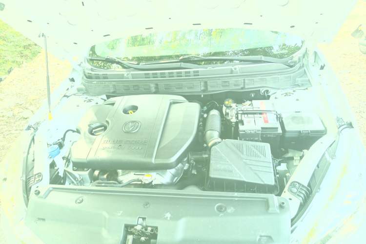 Used CHANGAN Eado DT 2019 1.6L Automatic Smart Enjoyment Model China VI Standard Engine Bay