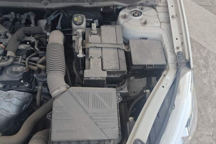 Used CHANGAN Eado DT 2019 1.6L Automatic Enjoyment Model China V Standard Engine Bay Left