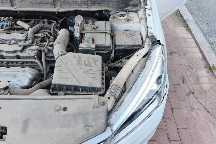Used CHANGAN Eado DT 2019 1.6L Manual Enjoyment Model China VI Engine Bay Left