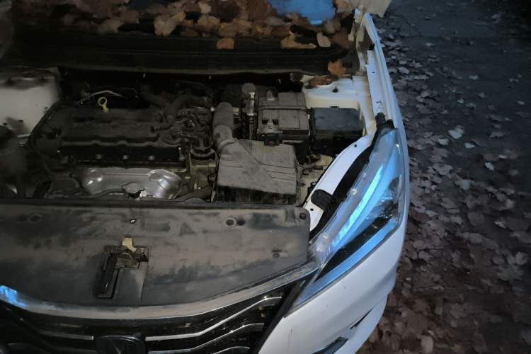 Used CHANGAN Eado DT 2019 1.6L Manual Comfort Model China VI Standard Engine Bay Left
