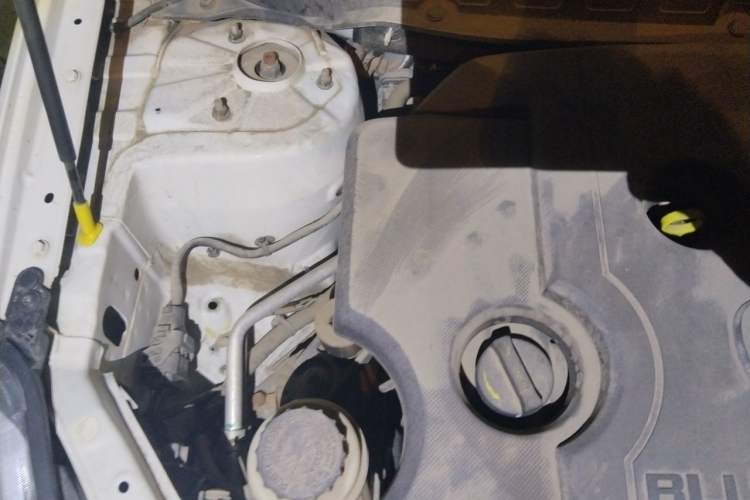 Used CHANGAN Eado DT 2019 1.6L Automatic Enjoyment Model China VI Standard Engine Bay Right
